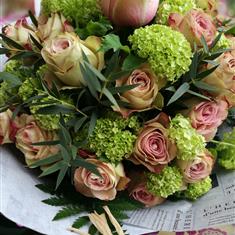 Summer Rose Sensation