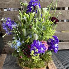 Summer Meadow 