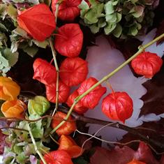 Autumnal Wreath Workshop 21st October 2025