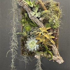 Botanical Picture Frame Workshop 24th September 2026